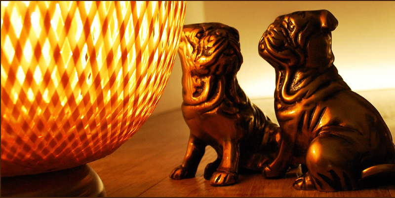 �R���w�A�[�@�C�x���g���