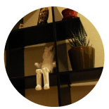 �R���w�A�[ �V���[���ȃE�T�M